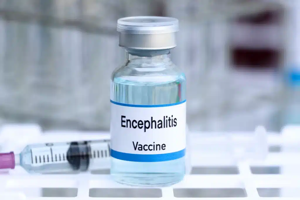About the Japanese Encephalitis Vaccine