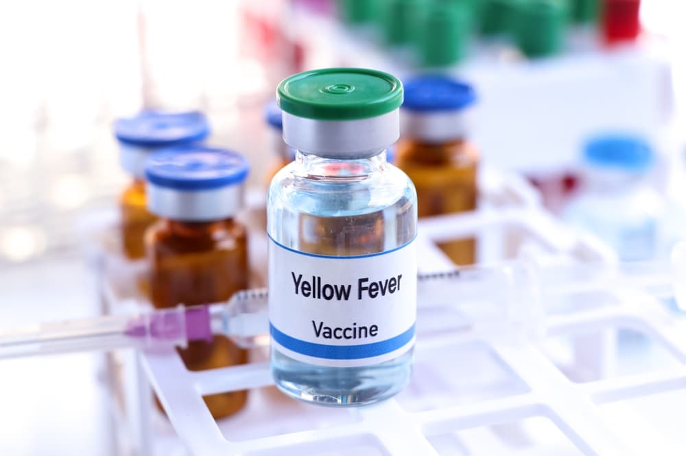 About the Yellow Fever Vaccine